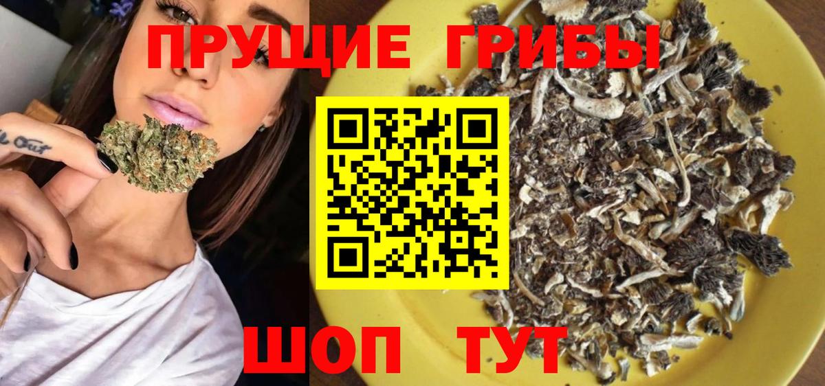 Галлюциногенные грибы мицелий Магнитогорск